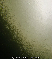 "Dark Side Of The Moon"   
Raindrops seen from the under... by Jean-Louis Courteau 